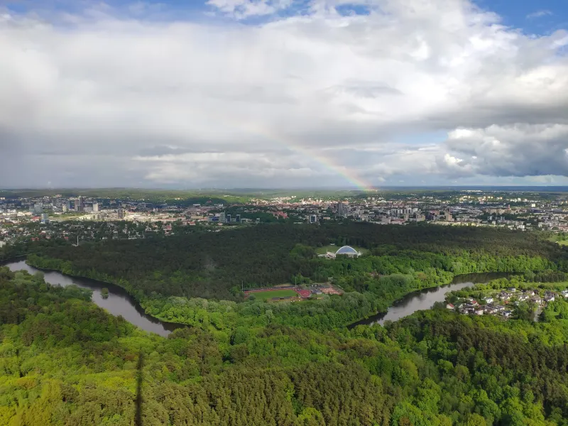 40 proc. 18–45 metų gyventojų šiuo metu neplanuoja vaikų: kas slypi už šio skaičiaus