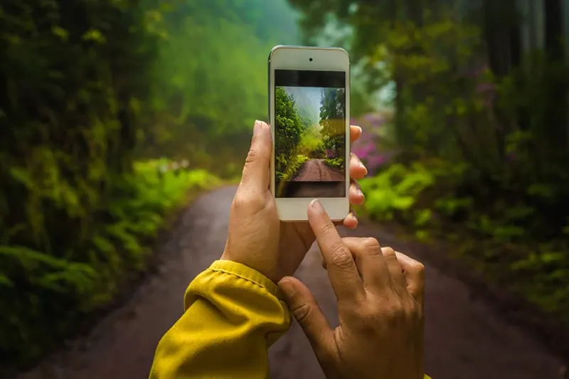 Ištrynėte nuotrauką telefone? Ji vis dar gali būti išsaugota
